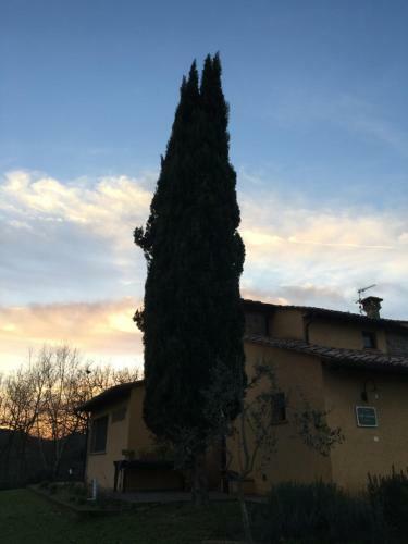 Villa Ledonia