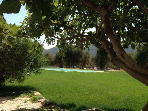 Masseria S.oronzo