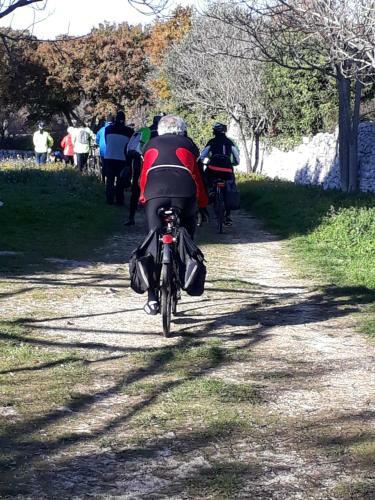 B&B Masseria Santanna