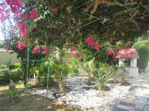 Tsialis Hotel Apartments