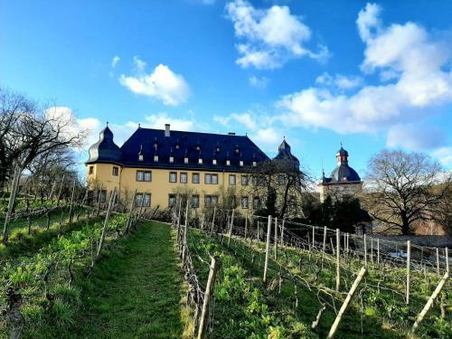 Apartamento Auszeit Rheingauer Rosengasse