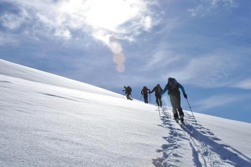 Hostal Gasthof B�ren