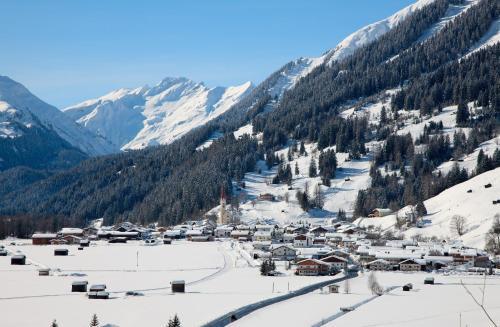 Hostal Gasthof B�ren
