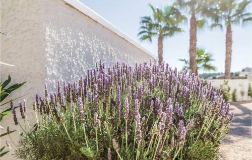 Holiday Home Santiago De La Ribera