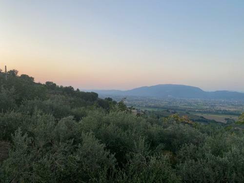 Agroturismo Agriturismo Casa Orsini