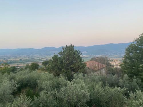 Agroturismo Agriturismo Casa Orsini