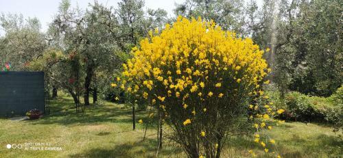 Apartamento Podere San Pierino