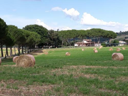 Apartamento Appartamenti La Quercia