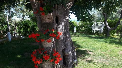 Casa Vacanza Orchidea Vicino A Mattinata Gargano