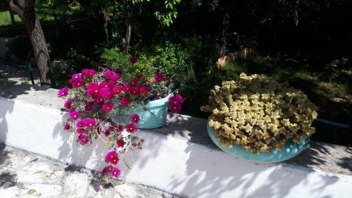 Casa Vacanza Orchidea Vicino A Mattinata Gargano