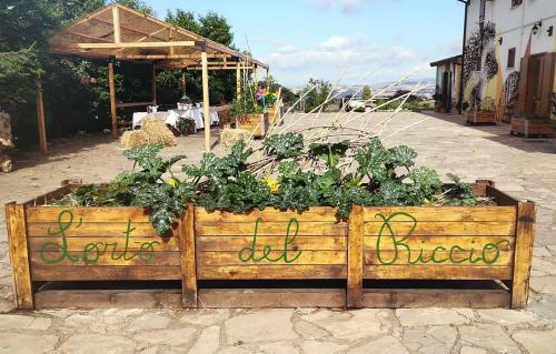 Agroturismo Agriturismo Il Riccio