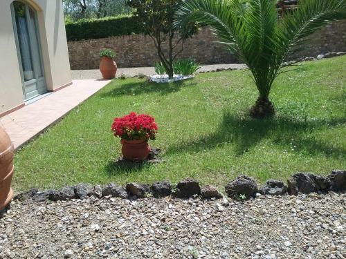 Agroturismo Casa Le Betulle