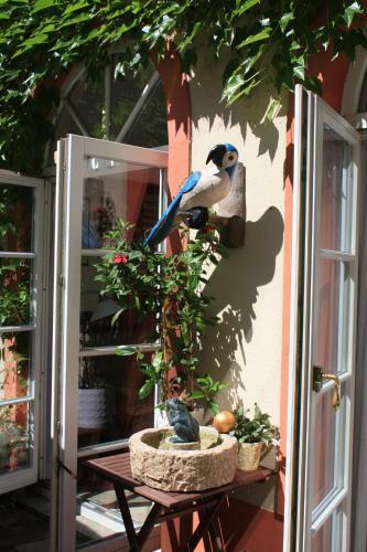 Hostal Haus Buchheim - Pension Am Schloss