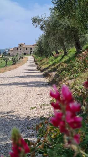 Bed & Breakfast Castello Di Petecciano Beb
