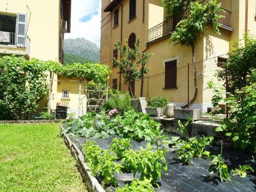 Apartamento La Vite Holiday Home