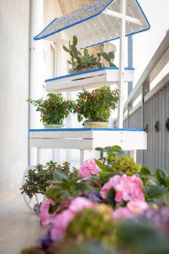 Bed & Breakfast Luna D'arte
