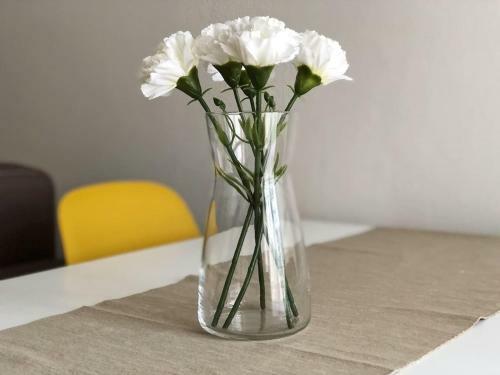 Apartamento Appartamento Rose E Tulipani 5