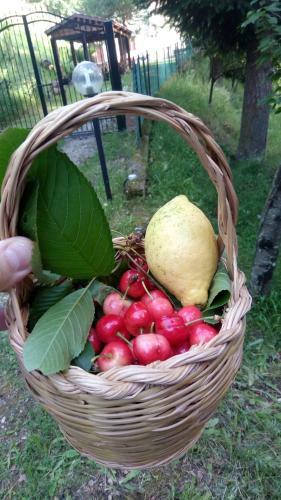 Bed & Breakfast Chalet Reventino