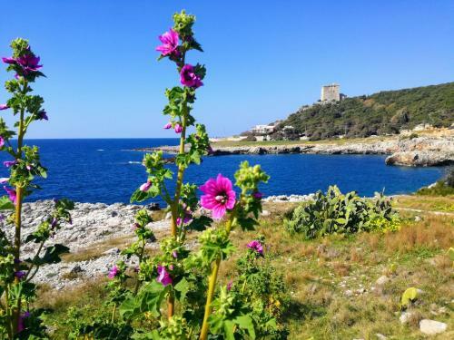 Apartamento Villa Martina