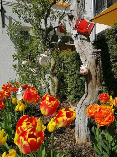 Apartamento Villa Sanddorn