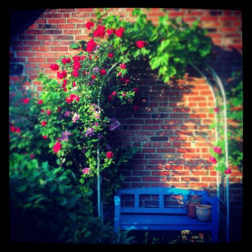 Alte Kate Mit Bau-& Zirkuswagen Im Gartenidyll