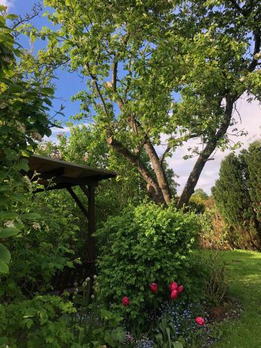 Alte Kate Mit Bau-& Zirkuswagen Im Gartenidyll