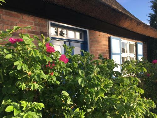 Alte Kate Mit Bau-& Zirkuswagen Im Gartenidyll