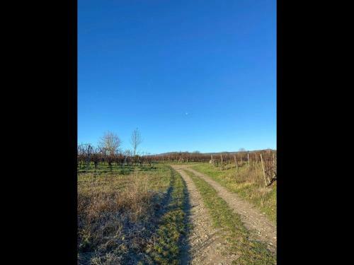 Apartamento Ferienwohnung Rheingau
