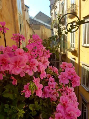 Bed & Breakfast Lo Specchio Dei Papiri