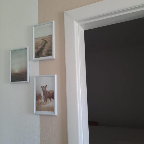 Apartamento Familienhof M�ritz