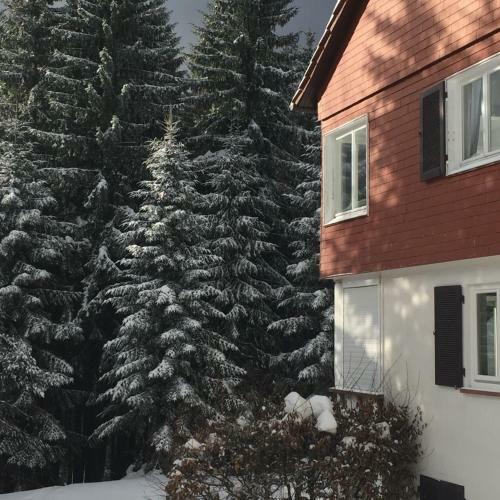 Apartamento Ferienwohnung B�rner Ll