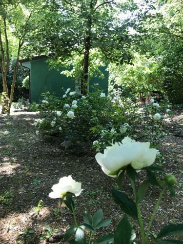 Casina Morgana B&B