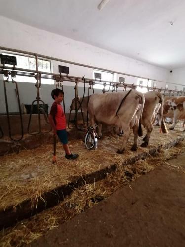 Agroturismo Masseria La Gatta Matta