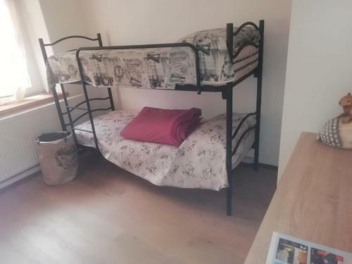 Apartamento Casa Nel Bosco Di Gabri E Ale