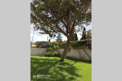 Casa Cao - Grazioso Appartamento A Nurachi