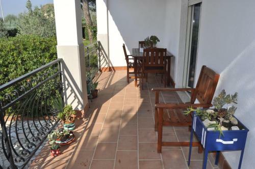 Villa Delle Palme