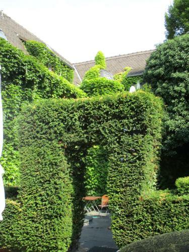 Hostal Hotel Burg-stuben