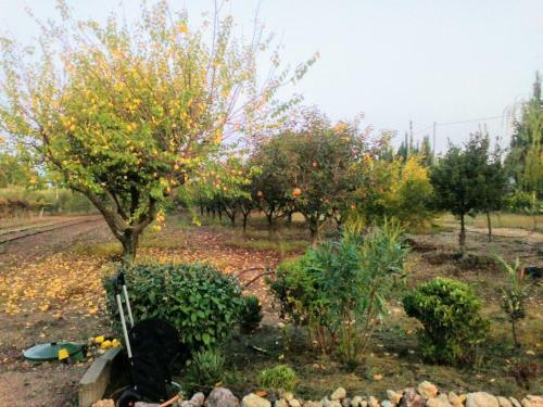 Apartamento Il Giardino Delle Rose A