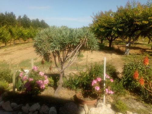 Apartamento Il Giardino Delle Rose A