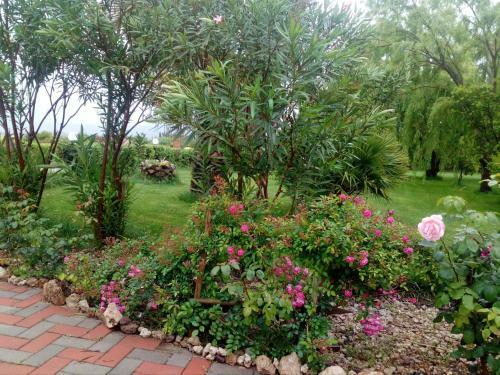 Apartamento Il Giardino Delle Rose A