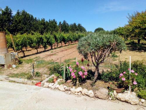 Apartamento Il Giardino Delle Rose A