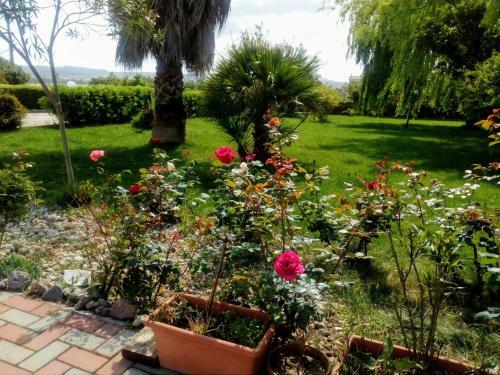 Apartamento Il Giardino Delle Rose A