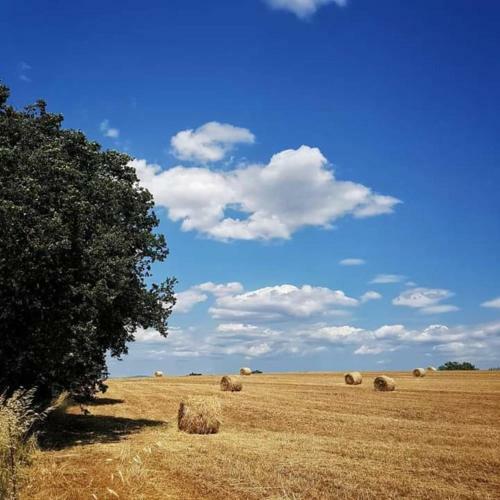 Hostal Affittacamere Orbetello Centro