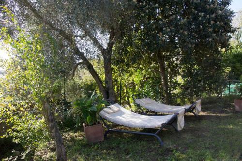 Bed & Breakfast Casale San Pietro