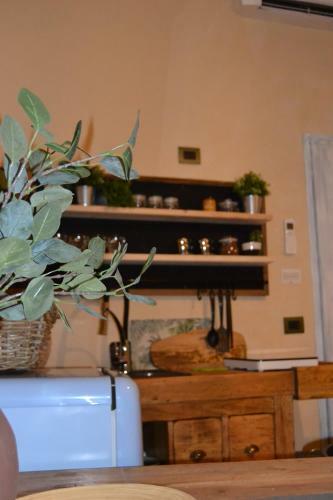 Ai Due Mori Apartment In Noto