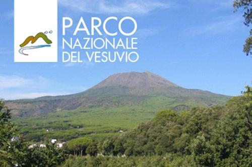 Apartamento Casa Del Principe