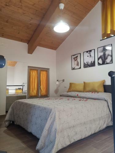 Hostal Amy Dreams