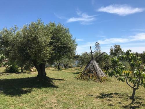 Villa Sa Curcurica
