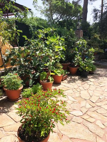 Apartamento Mare Blu