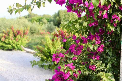 Luxury Country Villa By Sardiniagem, Walk To Beach